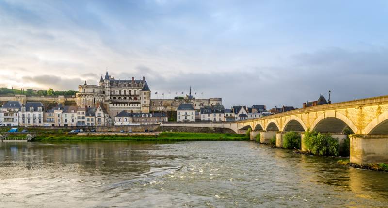 From Paris: Loire Valley Castles Private Guided Tour