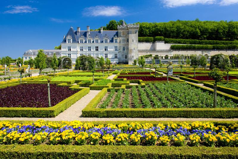 Villandry Castle Gardens during a Loire Valley Renaissance Gardens Full Day Private Tour by Deluxe France