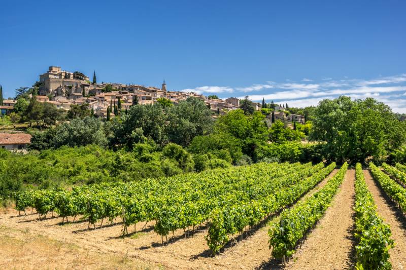vineyards and luberon village in the horizon