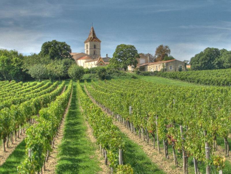 Médoc Full Day Private Wine Tour