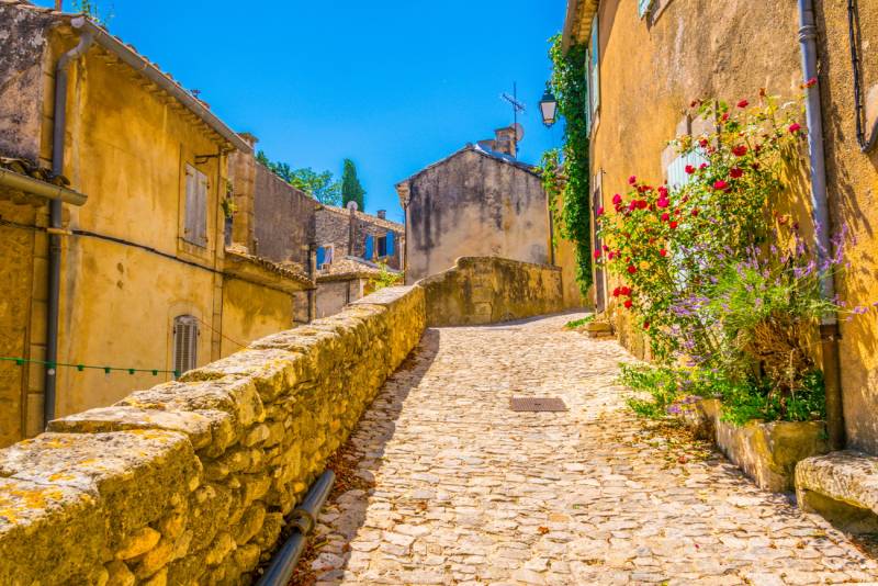 Isle-sur-Sorgue Antiques Market & Luberon Villages from Avignon