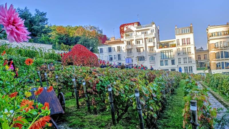 Montmartre Hidden Vineyard Private Tour