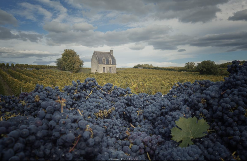 Pierre & Bertrand Couly Wine Domain