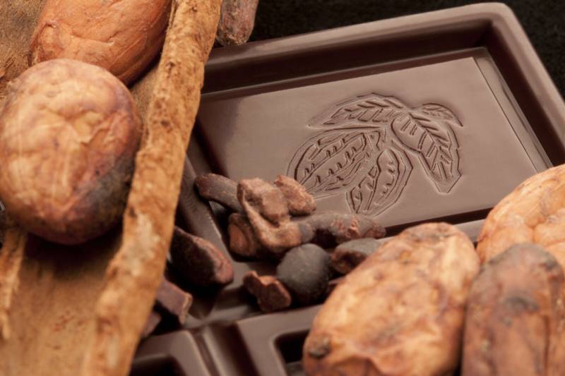 chocolate from french artisan during a chocolate and pastry food tour in Paris