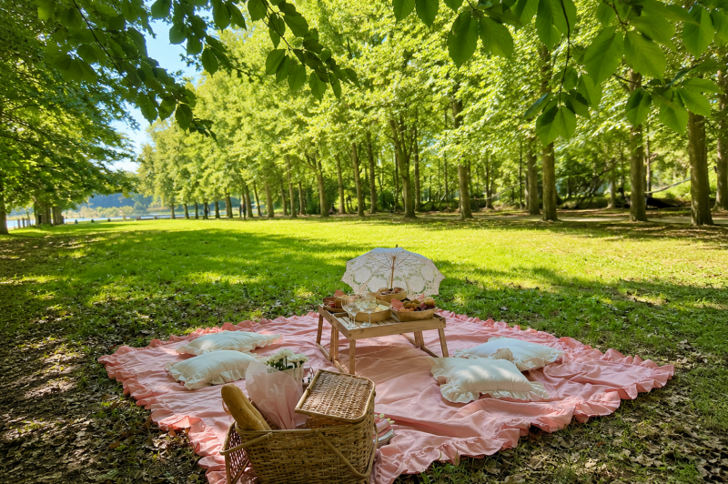 Parisian Picnic Experience