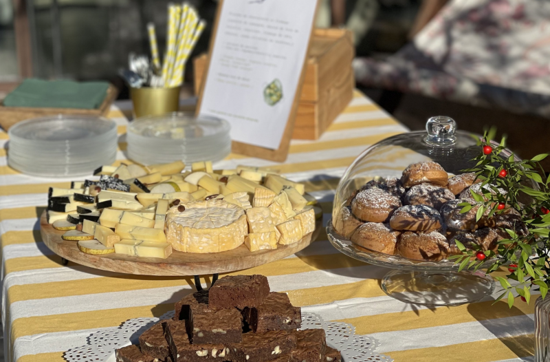 cheeses for a picnic in the vineyards in Provence