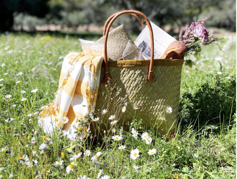 picnic bag on the grass