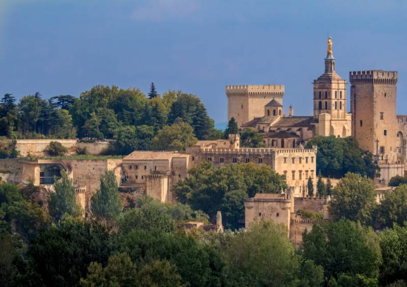 Avignon roof tops and the Pope's Palace