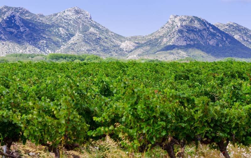 Provence Full Day Private Tour