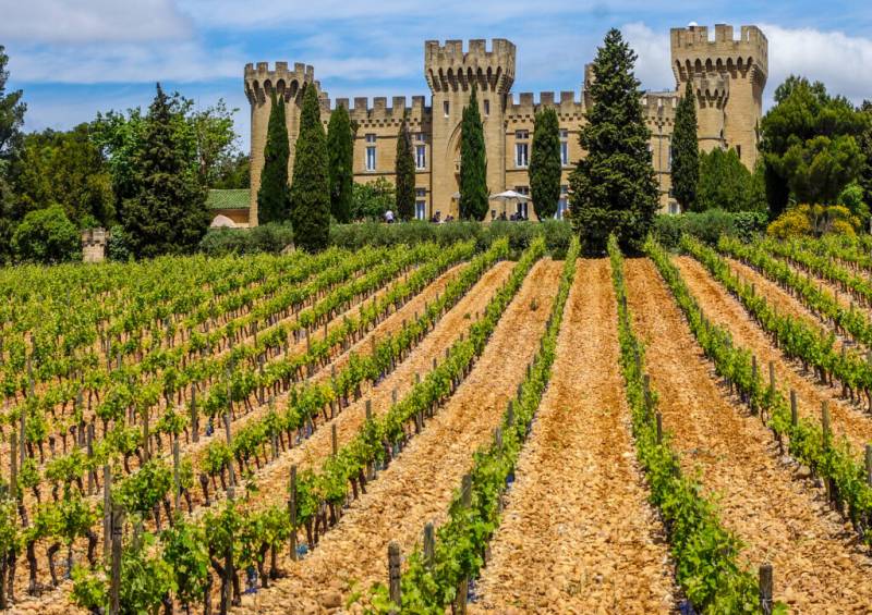 Châteauneuf du Pape vineyards