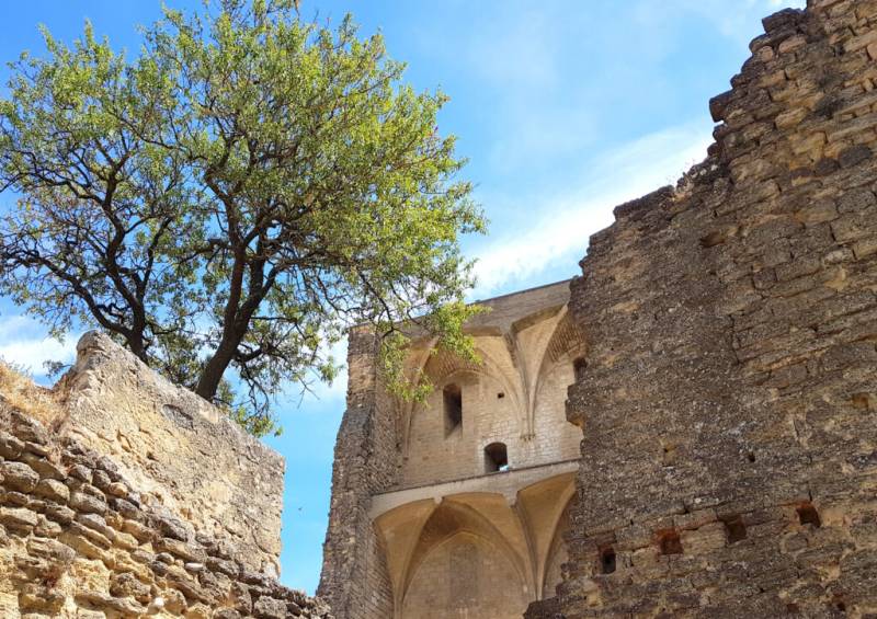 Ruins of Châteauneuf du pape