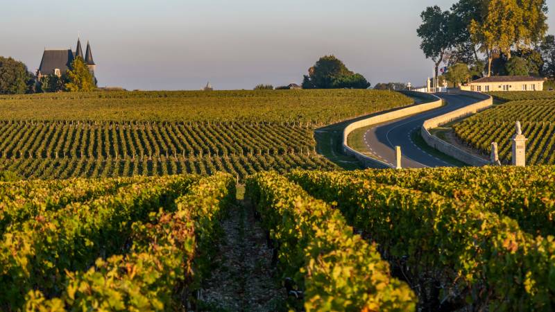 Saint Emilion Full Day Private Wine Tour