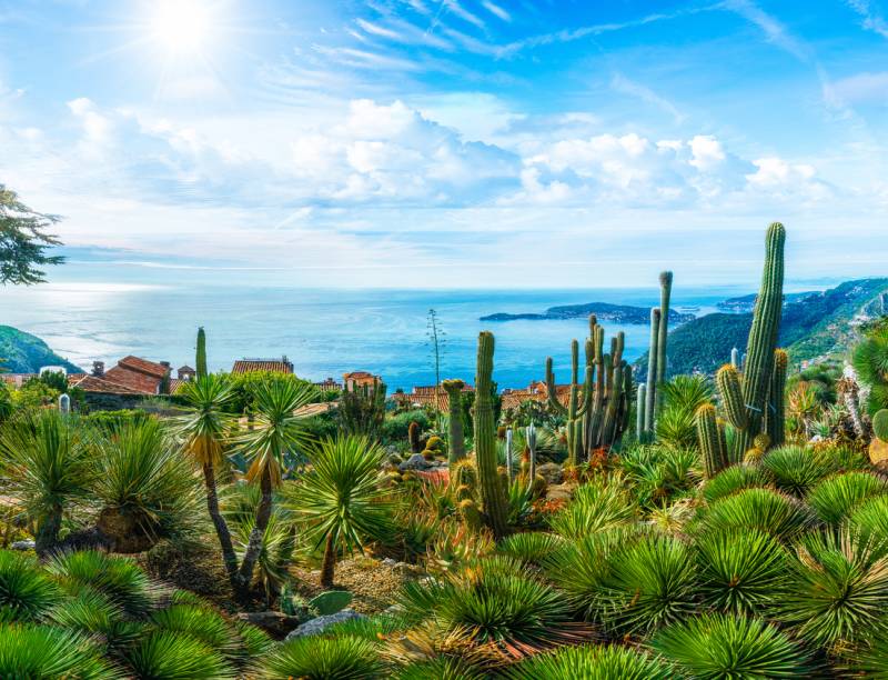 Which region should I visit if I spend one week in France ?