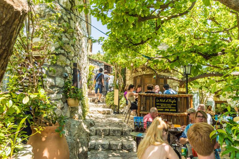 From Monaco: Medieval Villages & Nice Full Day Private Tour