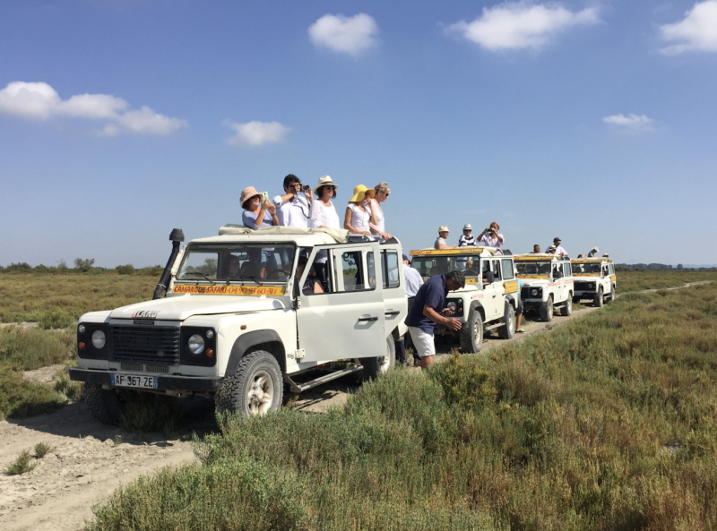 Camargue 4x4 Safari Experience