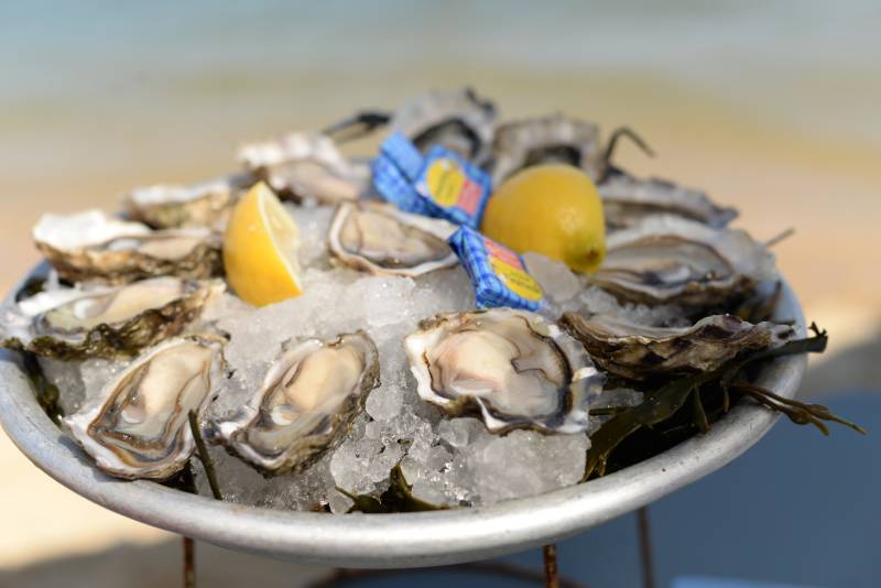 Enjoy fresh Oysters at a local farm in Arcachon Bay by Deluxe France