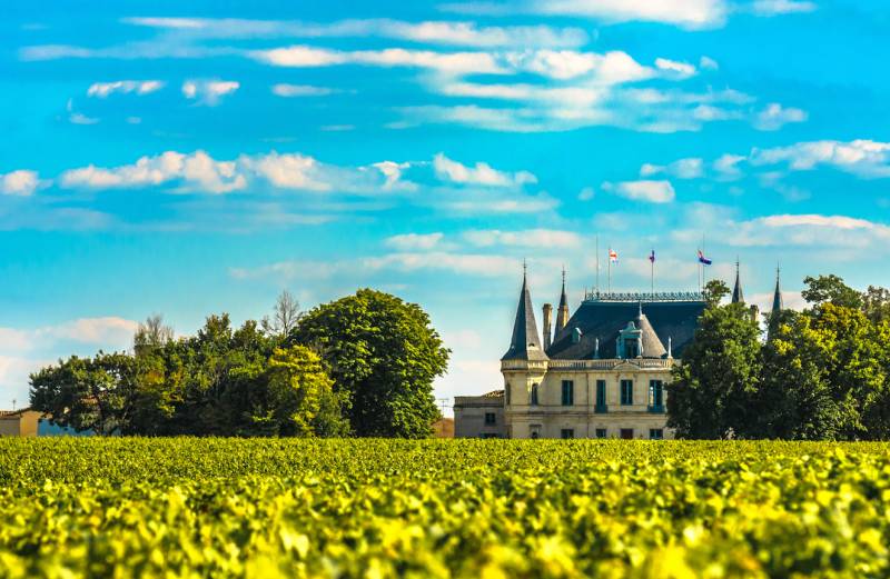 Château in the Middle of the Vineyards in Bordeaux Region