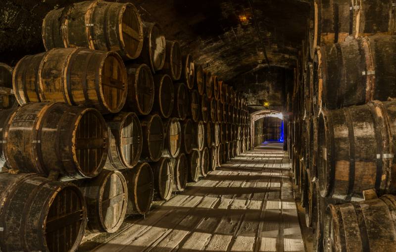 Cognac Full Day Wine Tour