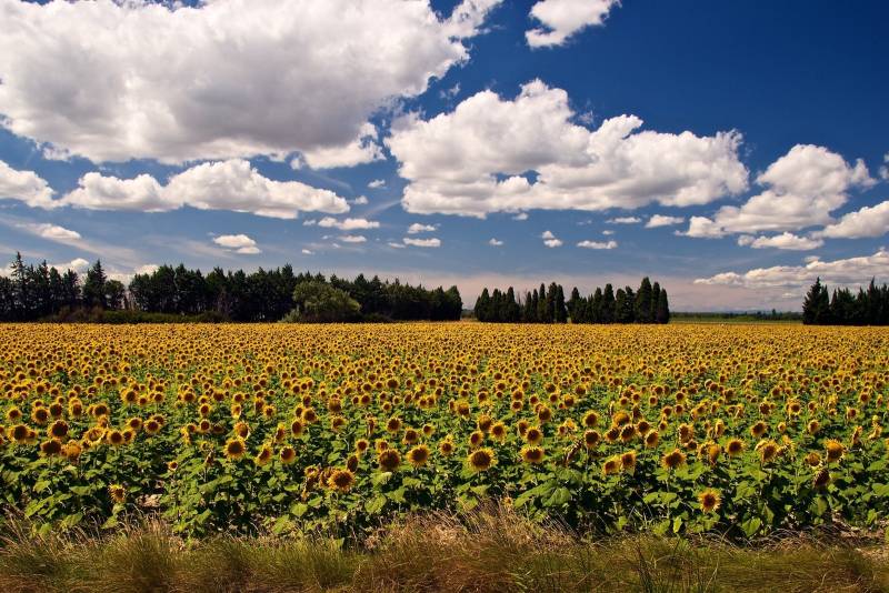 Provence Tour from Saint Tropez