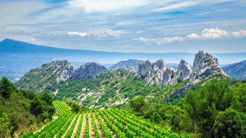 From Avignon: Rhône Valley Wine Tour