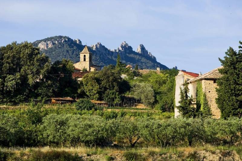 wine domains chateauneuf du Pape and Rhone Valley