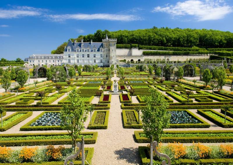 Full Day Private Gardens Tour In The Loire Valley