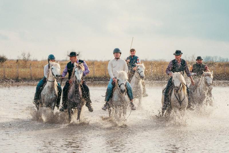 Camargue Experience Full Day Private Tour