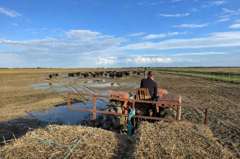 Camargue Experience Full Day Private Tour