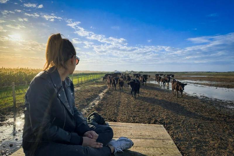 Camargue Experience Full Day Private Tour