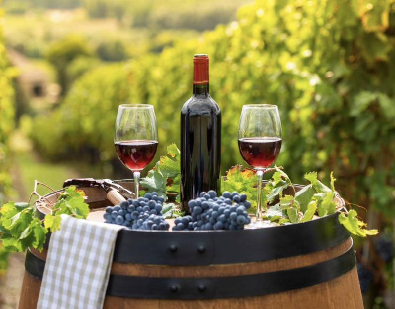 Luberon Biking Experience