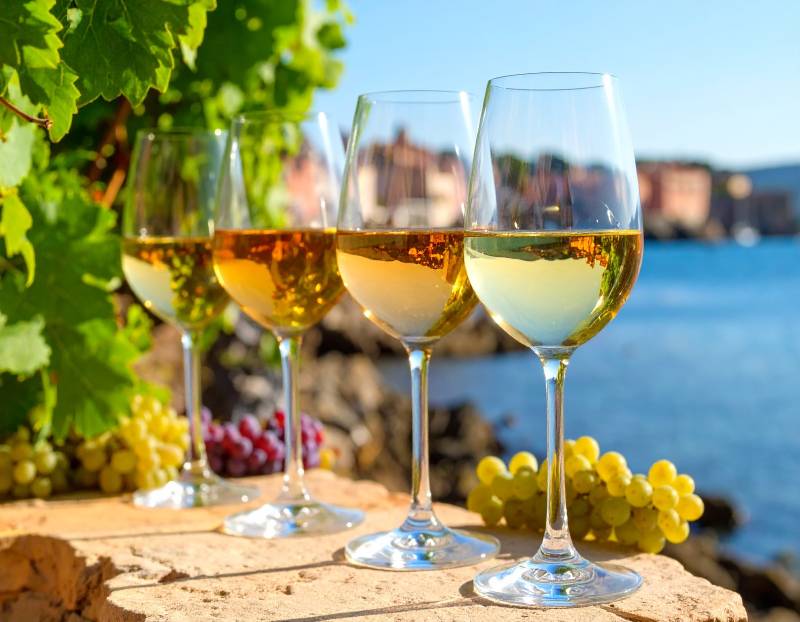 Saint Tropez Private Bike Tour & Wine Tasting