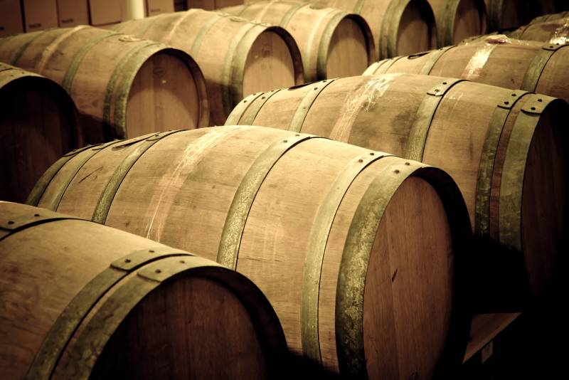 Full Day Castles Visit & Wine Tasting from Blois: Chambord & Cheverny