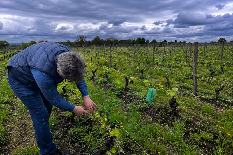 Loire Valley Wine & Castle Private Tour from Paris