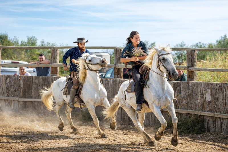 Camargue Experience Full Day Private Tour