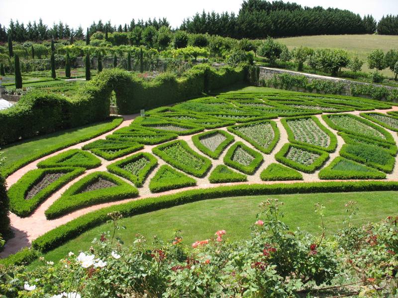 Full Day Private Gardens Tour In The Loire Valley