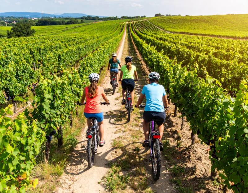 Private Guided Bike Tour Through the Champagne Vineyards