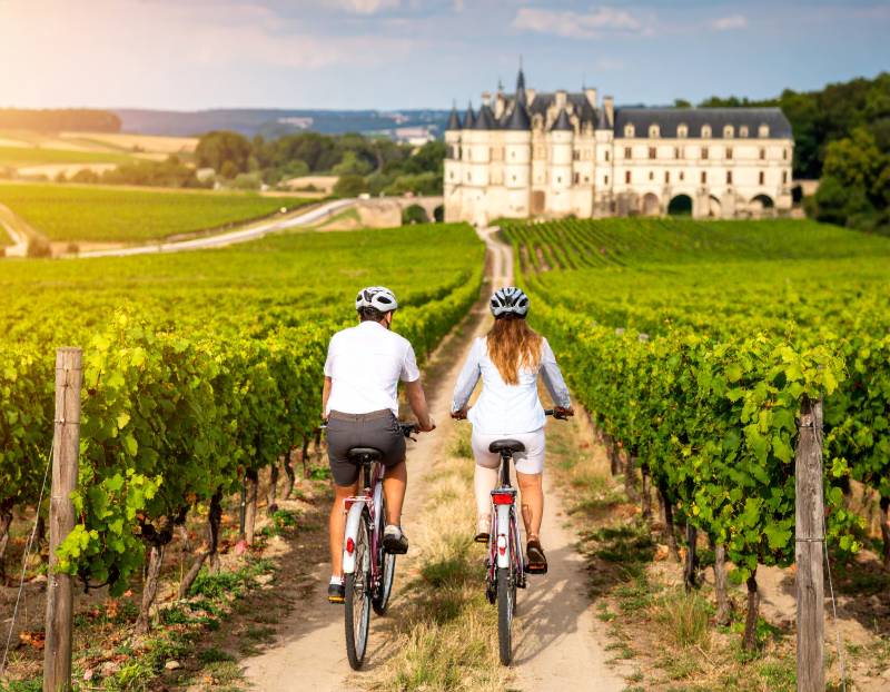 Two bikes in the vineyards of the Loire Valley