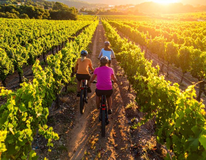 Saint Tropez Private Bike Tour & Wine Tasting