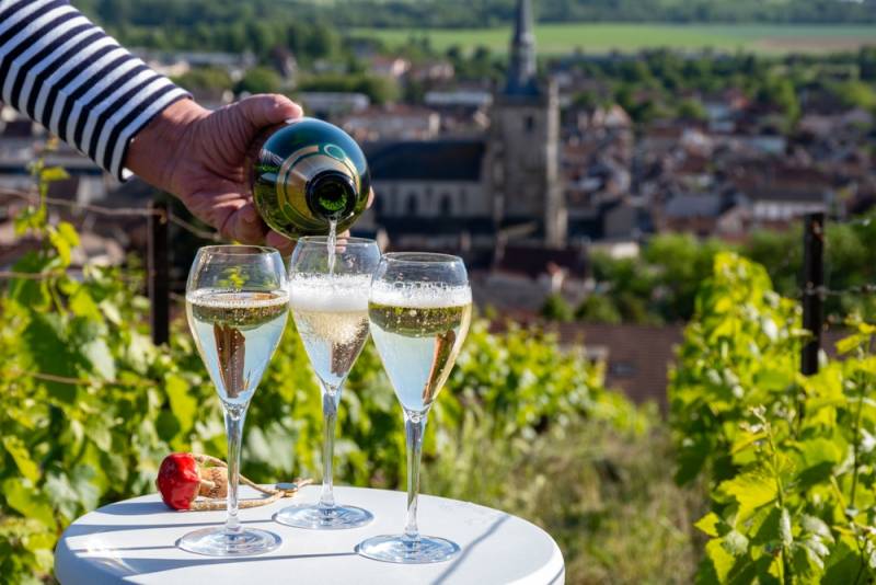 Chablis & Burgundy Wine Tour from Paris