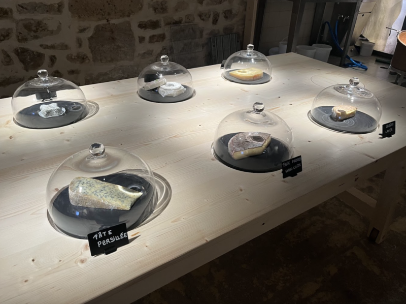 Food Tour & Cheese Workshop on Île-Saint-Louis