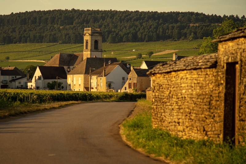 Côte de Beaune Full Day Private Wine Tour