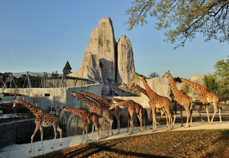 Other Family & Kids Experiences and Tickets in Paris