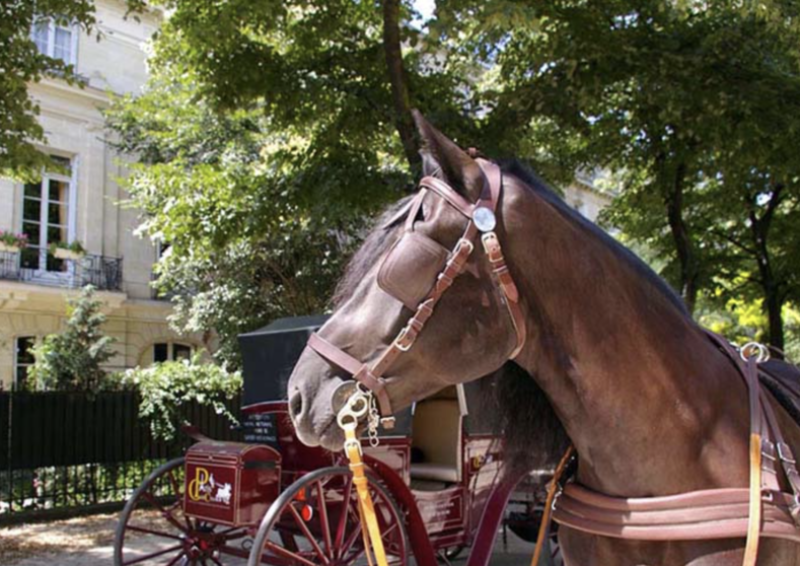 Paris by Horse and Carriage for Families & Kids