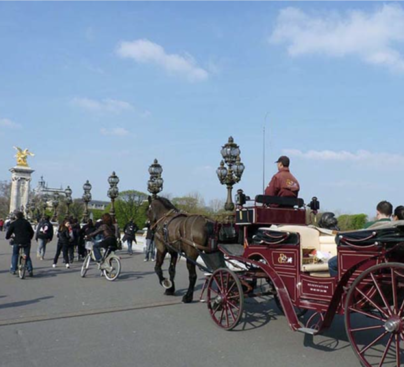 Paris by Horse and Carriage for Families & Kids