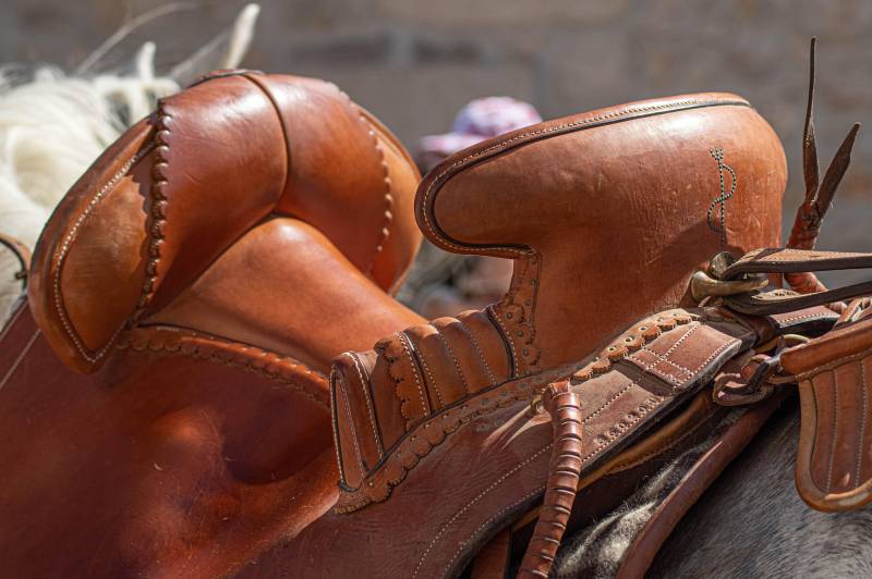 Horse Riding Camargue