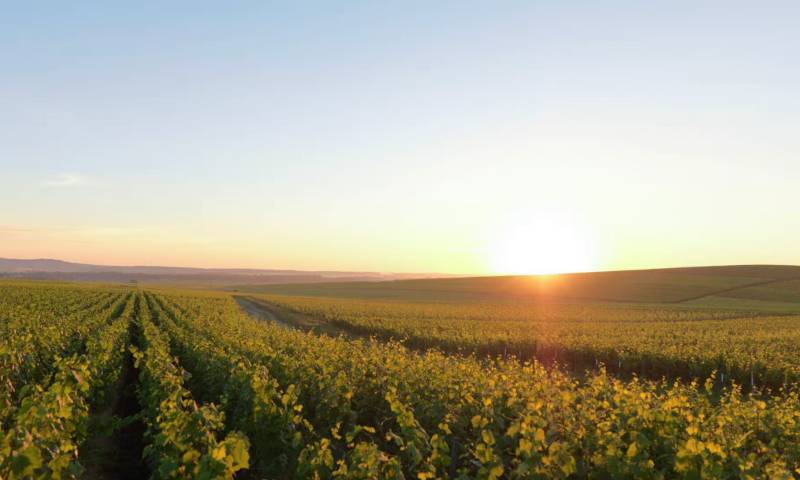 Ruinart Champagne House