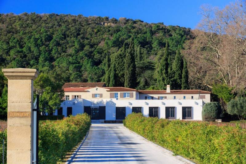 Saint Tropez Full Day Private Wine Tour