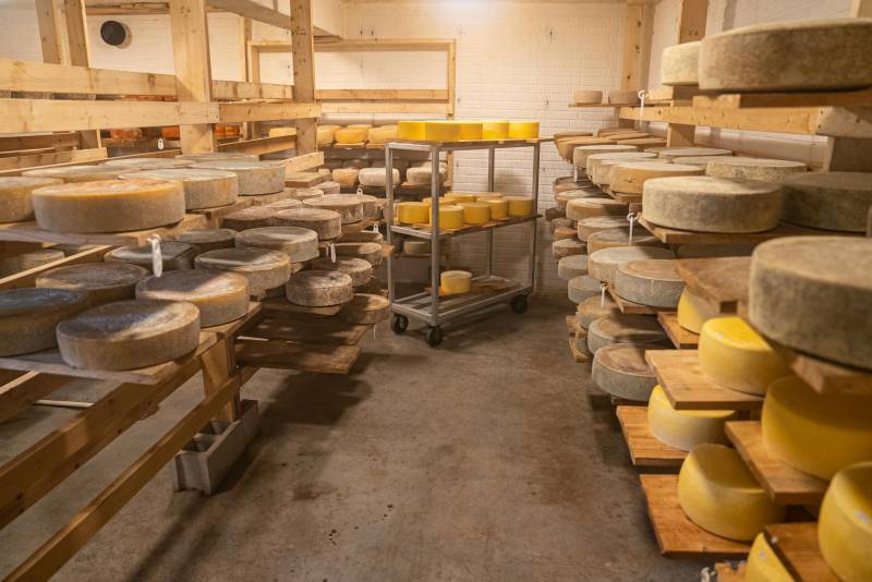 Cheese & Butter Workshop