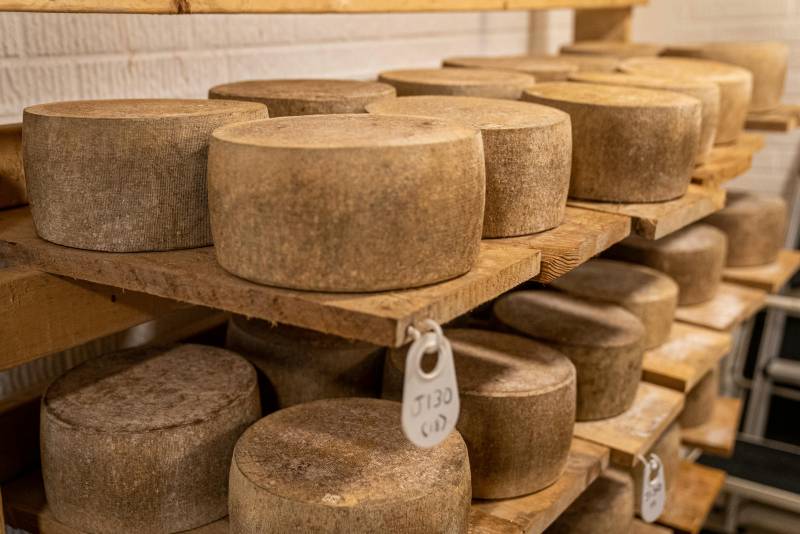 Cheese & Butter Workshop