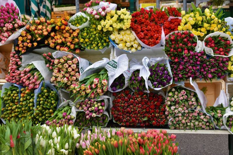 Flower Market in Ile de la Cité